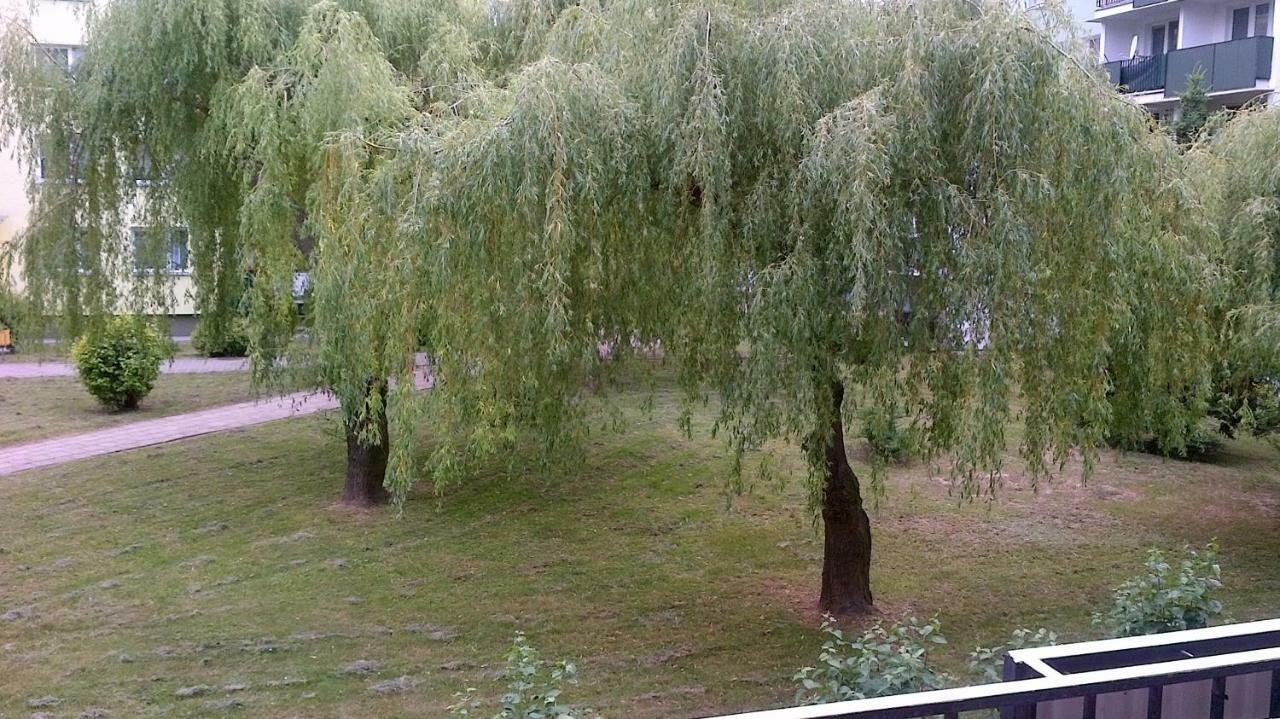 Zielona Herbowa Lublin Ngoại thất bức ảnh